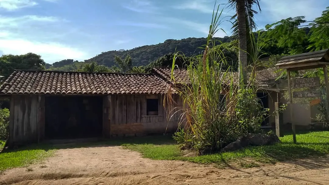 Construção rústica de telhas e madeira cercada por cana e morros verdes